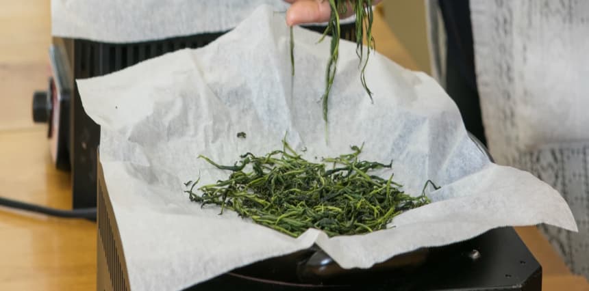 陶板で宇治茶づくり