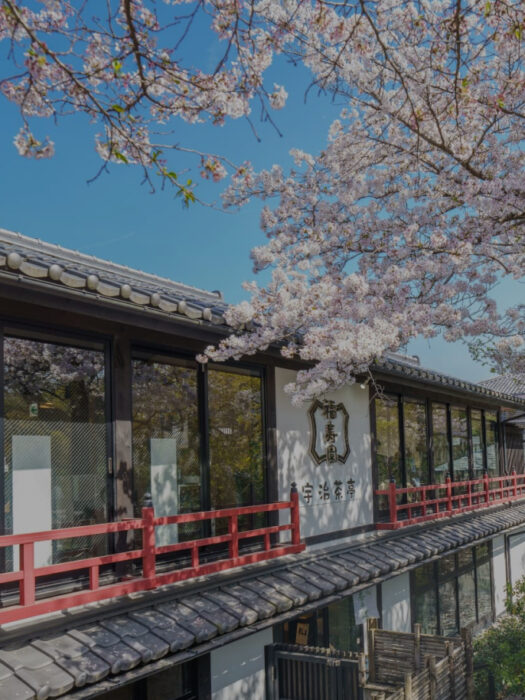 宇治茶亭と桜